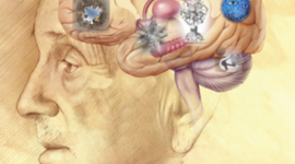 Timeline: Cronología