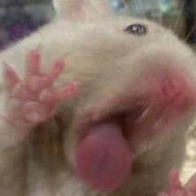 Timeline: Linea de tiempo agricultura