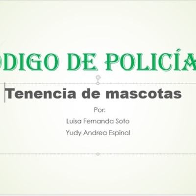 Timeline: Codigo del policia
