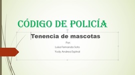 Timeline: Codigo del policia