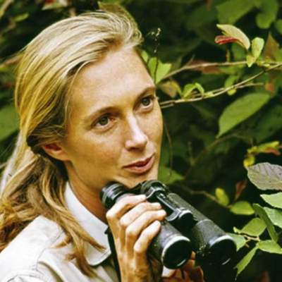 Timeline: Jane Goodall