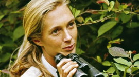 Timeline: Jane Goodall