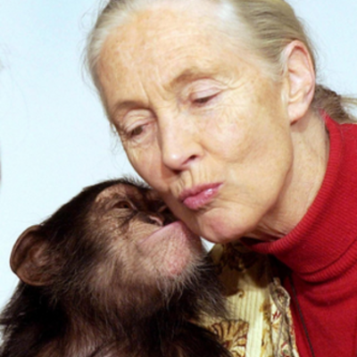 Timeline: Jane Goodall