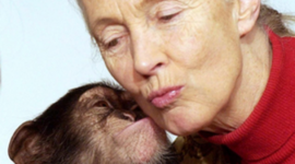 Timeline: Jane Goodall
