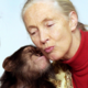 Jane goodall