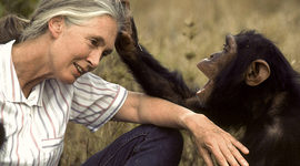 Timeline: Jane Goodall
