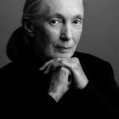 Timeline: Jane Goodall Lifetime\