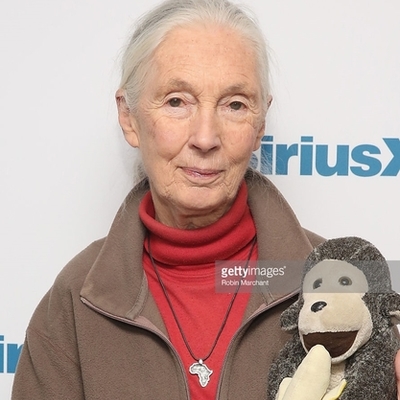 Timeline: Jane goodall