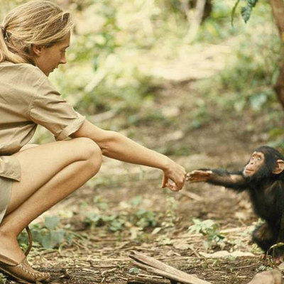 Timeline: Jane Goodall's Life