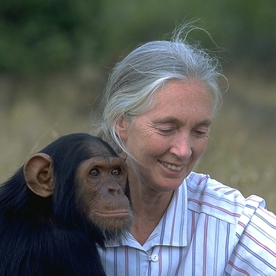 Timeline: Jane Goodall