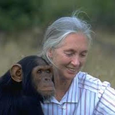 Timeline: Jane Goodall