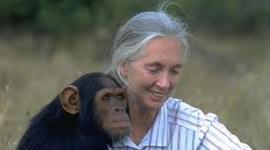 Timeline: Jane Goodall