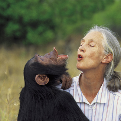 Timeline: Jane Goodall