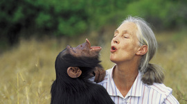 Timeline: Jane Goodall