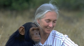 Timeline: Jane Goodall