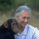 Jane goodall