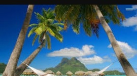 Timeline: Borra borra vacation