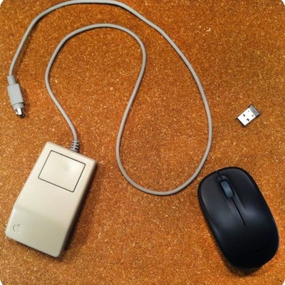 Timeline: Egér evolúció 2000-ig.