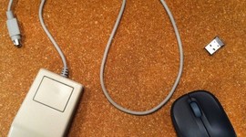 Timeline: Egér evolúció 2000-ig.