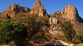 Timeline: Final Exam Review Project