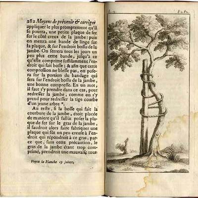 Timeline: Ortopédia I. kurzus