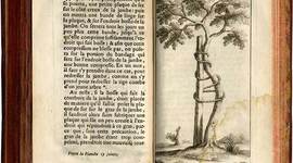 Timeline: Ortopédia I. kurzus