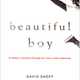 Beautifulboy2