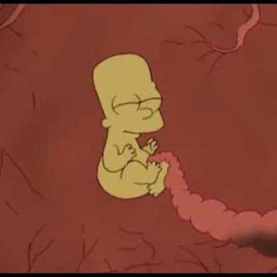 Timeline: FECUNDACIÓN, EMBARAZO Y PARTO