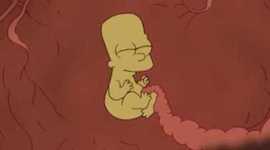 Timeline: FECUNDACIÓN, EMBARAZO Y PARTO