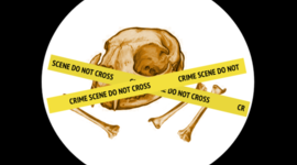 Timeline: The Great Dying