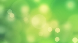 Timeline: Деревцо