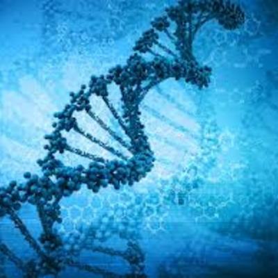 Timeline: AVANCES GENÉTICOS