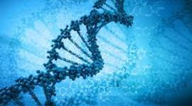 Timeline: AVANCES GENÉTICOS