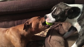 Timeline: Corey's Timeline Mini-Project