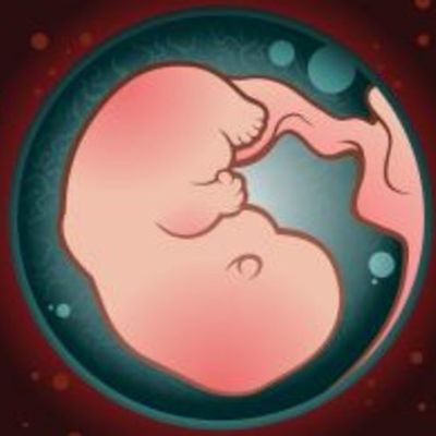 Timeline: FECUNDACIÓN, EMBARAZO Y PARTO