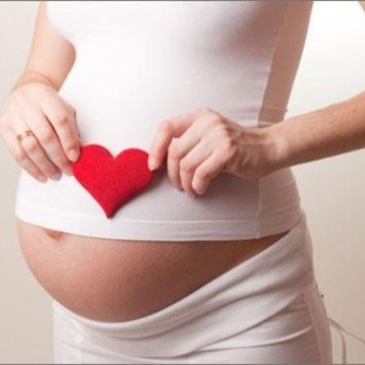 Timeline: DESARROLLO EMBRIONARIO Y FETAL