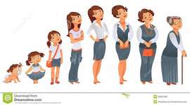 Timeline: Línea del tiempo