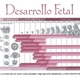Desarrollofetal
