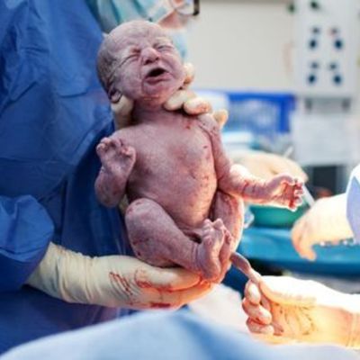 Timeline: Desarrollo embrionario