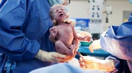 Timeline: Desarrollo embrionario