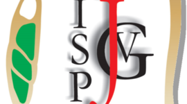 Timeline: Ingreso al JVG