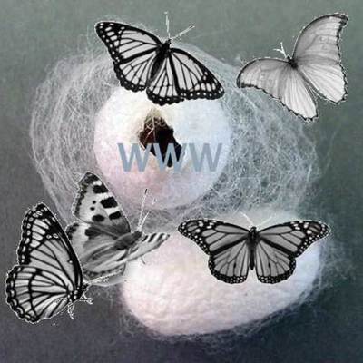 Timeline: Evolució història: educació en línia