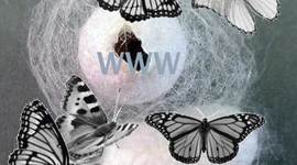 Timeline: Evolució història: educació en línia