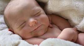 Timeline: Desarrollo embrionario