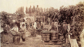 Timeline: The 1930s: The road to War