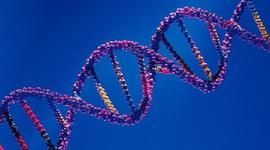 Timeline: AVANCES GENÉTICOS