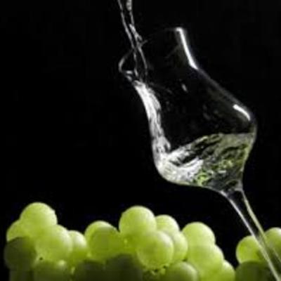 Timeline: ¡ Se llama PISCO con P de PERÚ !