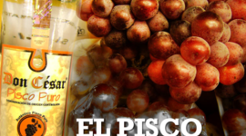 Timeline: No trates como a pisco , a quien te trata como agua ardiente