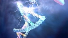 Timeline: Genetica hacia el futuro