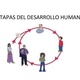Etapas del desarrolo humano